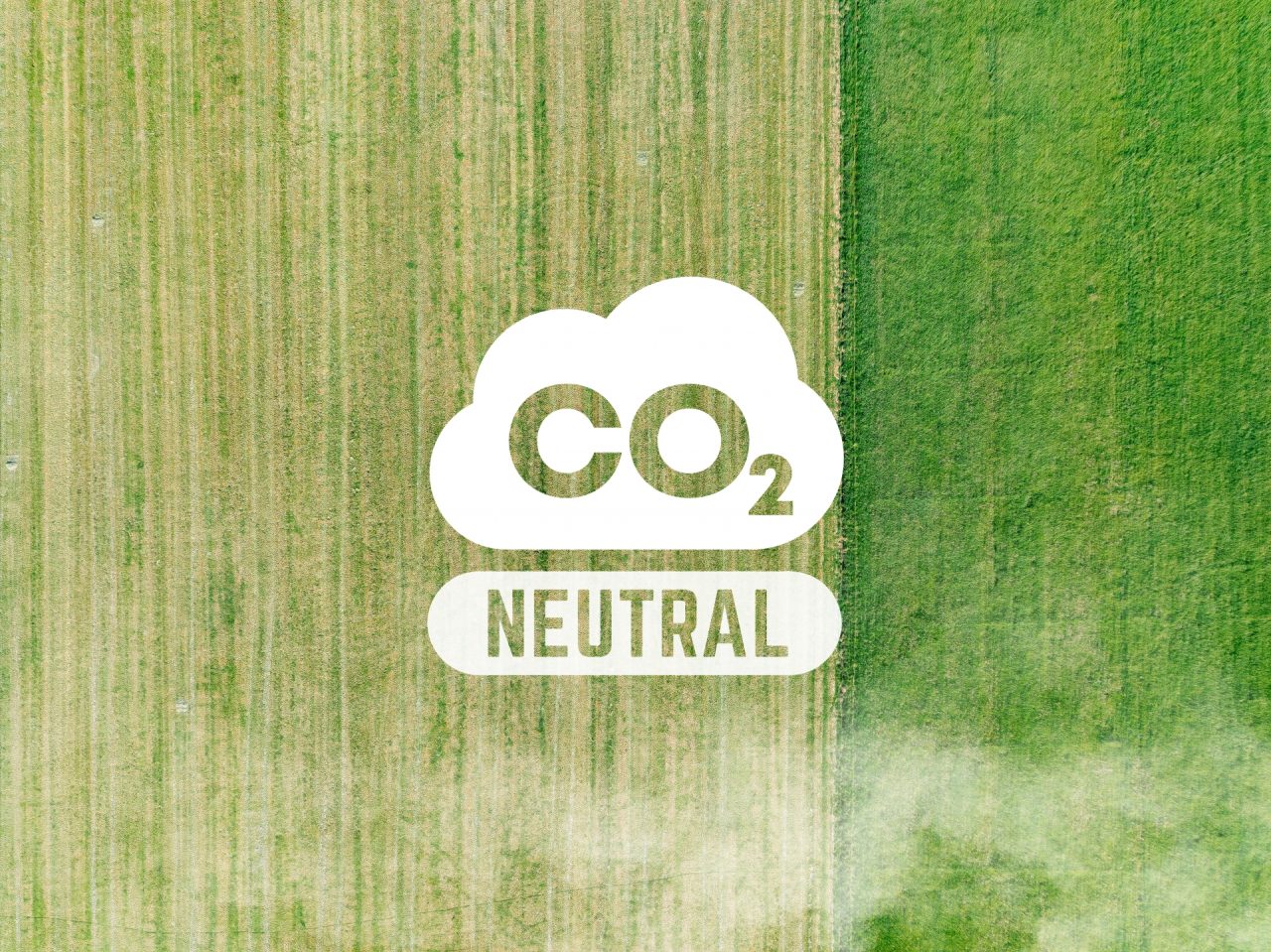 台灣碳權交易所成立，碳權怎麼交易？哪些產業需要買碳權？企業開搶綠領人才| 人資充電| 解決人資的各種疑難雜症，歡迎一起了解人資大小事|