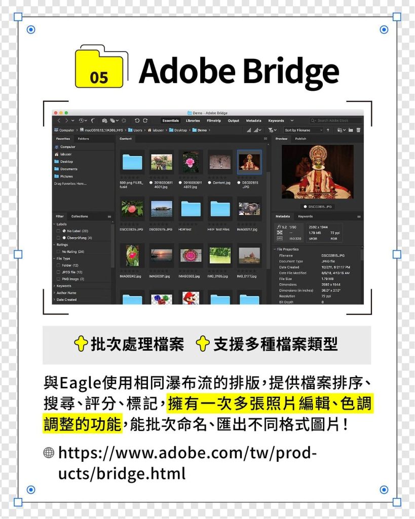 【05】Adobe Bridge