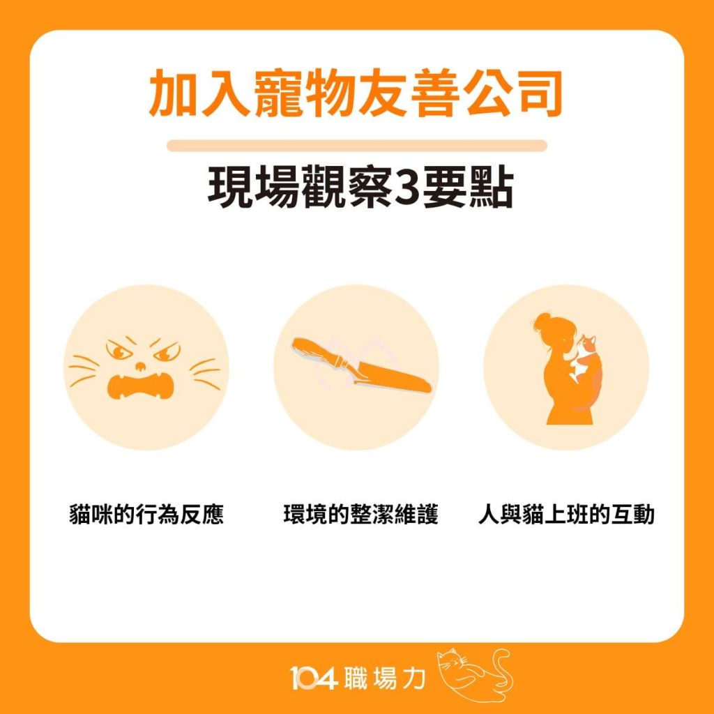 加入寵物友善公司的現場觀察