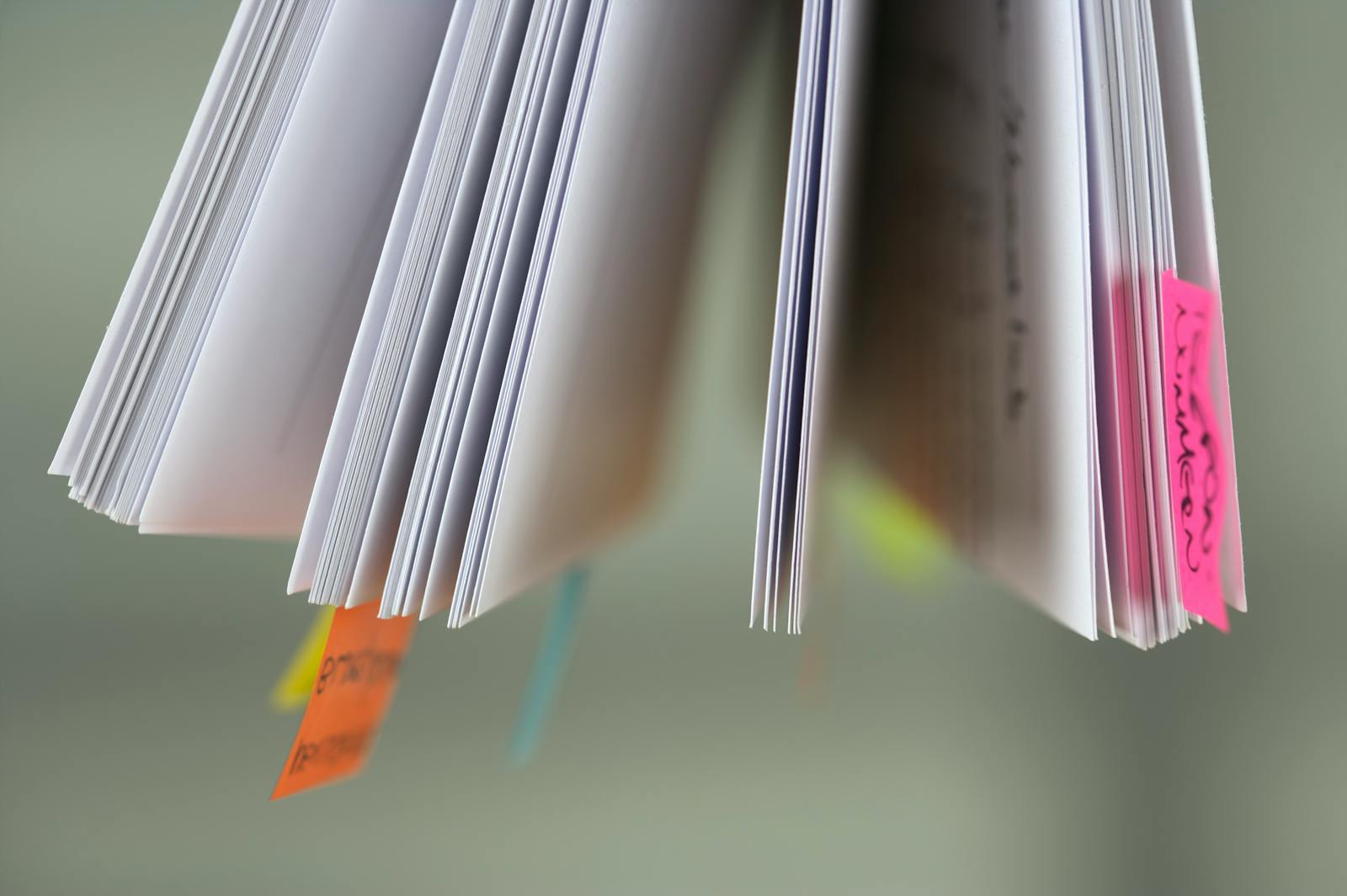 P型人讀書沒計畫上考場卻超有計畫 她善用費曼學習法一次考上公職
