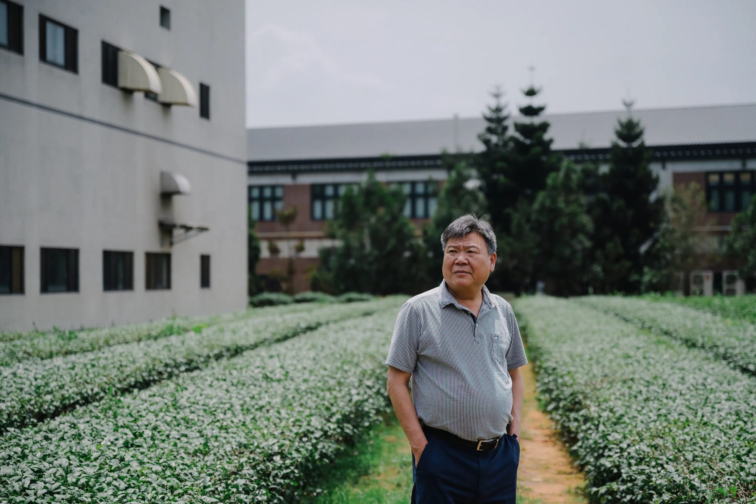 你一定喝過！鼎泰豐、全家搶合作的茶業商，如何引入AI科技、年營收賣破12億？