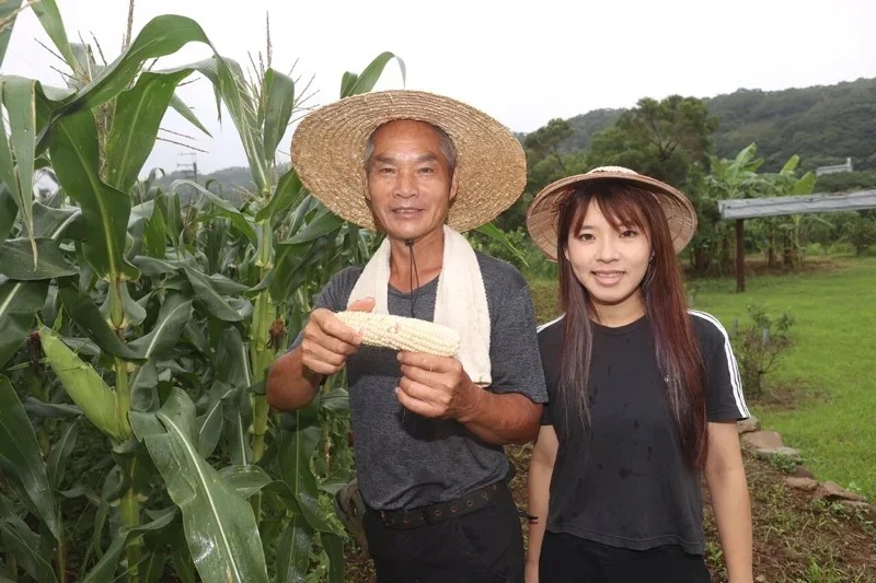 淡水南瓜種植面積增10倍 農業局長：青農價值不只在田間 食農教育是強項