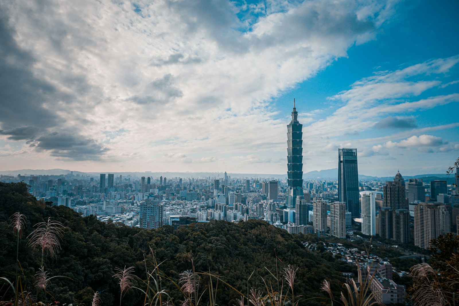 AI熱潮旺台灣還沒走完！企業獲利估增50% 是去年底預期的近三倍